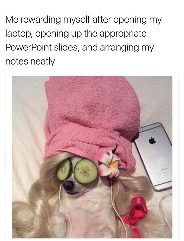 10 Memes All University Students Will Relate To Blog University Of Essex