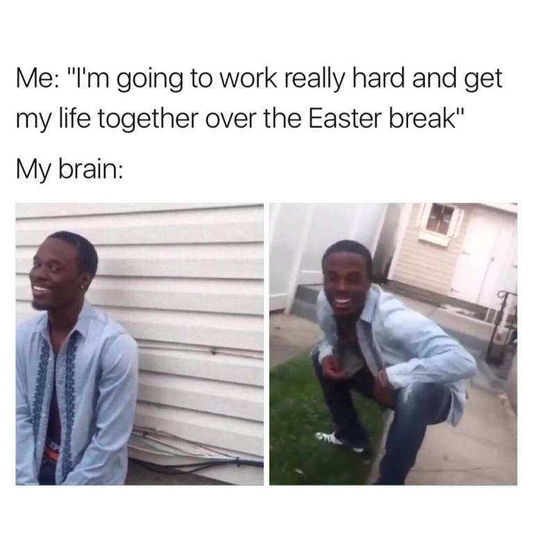 10 Memes All University Students Will Relate To Blog University Of Essex