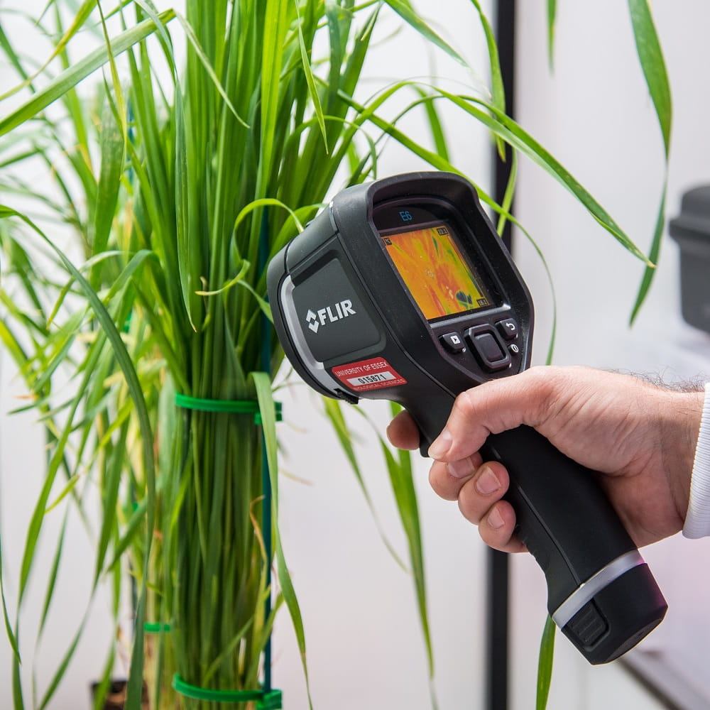 A hand holding a thermal imaging camera in front of some plants. The screen on the camera shows some shades of orange, yellow and green.
