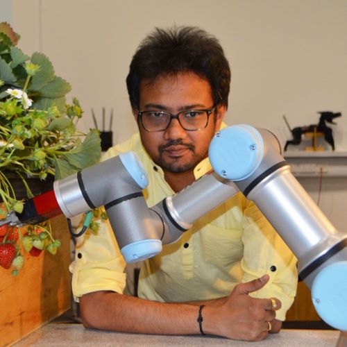 Our strawberry-picking robot has grown from a single robot arm...